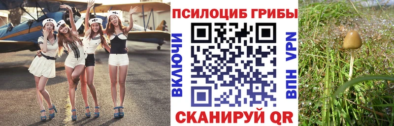 Галлюциногенные грибы мицелий даркнет сайт Гаджиево